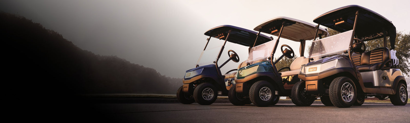 New 2 Seater Golf Carts