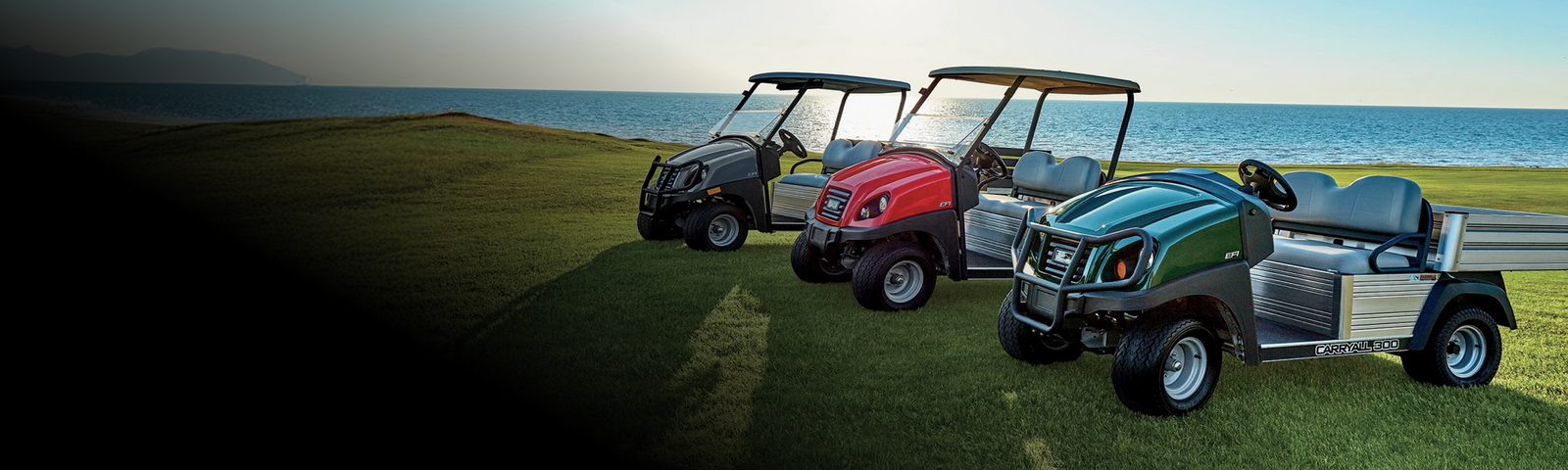 In-Stock New Commercial Carts