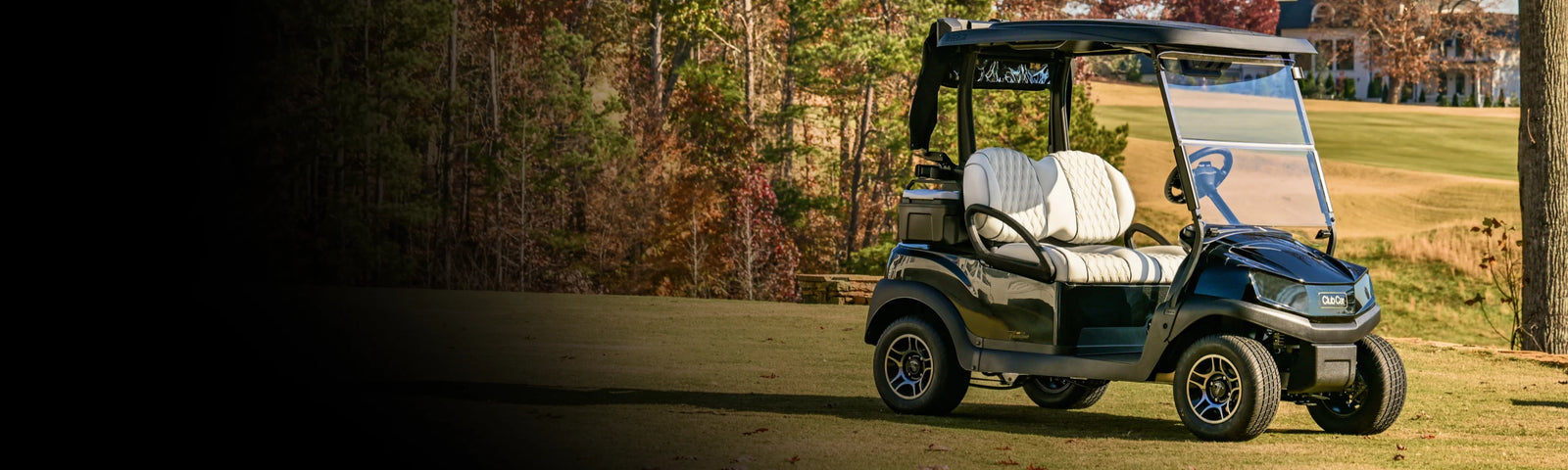 Used Electric Golf Carts