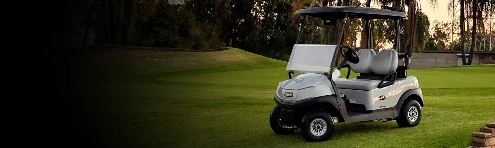 New Petrol Golf Carts