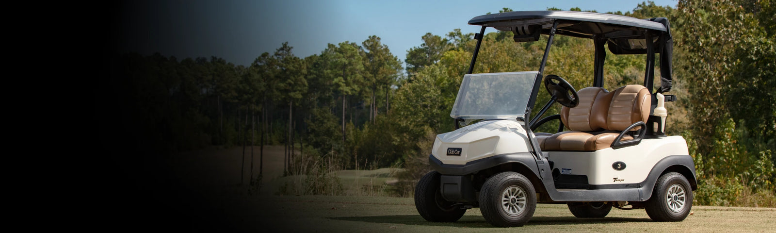 Used Petrol Golf Carts