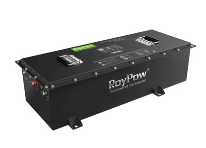 Lithium Ion Phosphate RoyPow 51.2V/160Ah battery-Full conversion package.