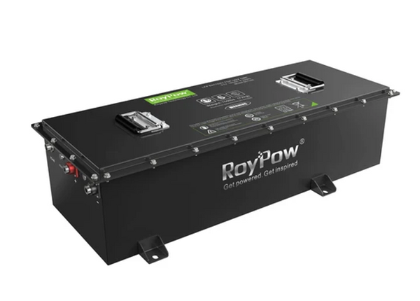 Lithium Ion Phosphate RoyPow 51.2V/160Ah battery-Full conversion package.