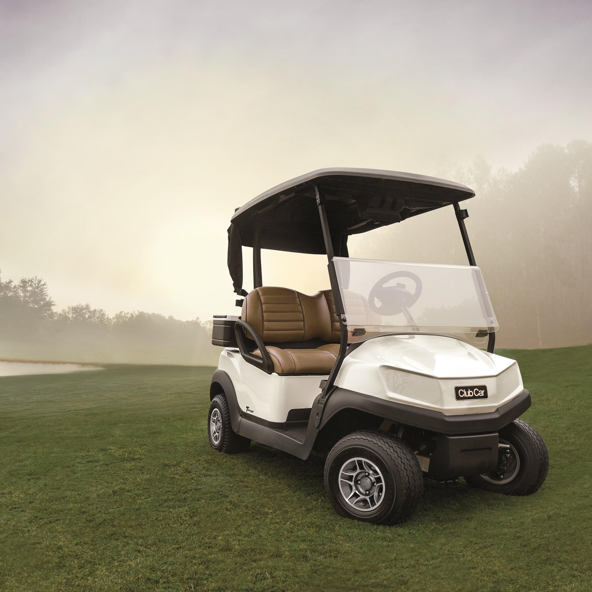White Club Car Tempo golf cart on a grassy field with a misty background